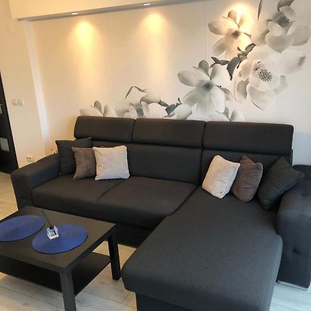 Apartament Modern Targoviste In Regim Hotelier Exteriör bild
