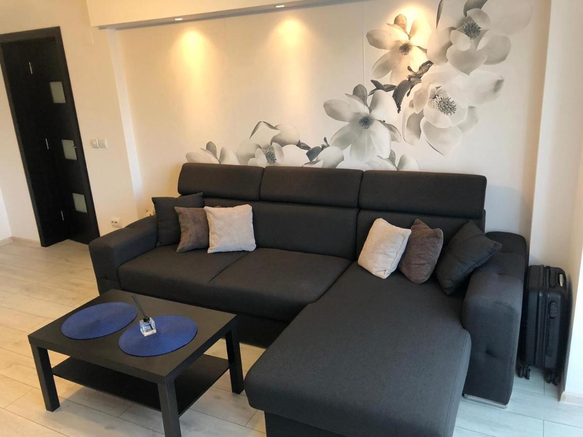 Apartament Modern Targoviste In Regim Hotelier Exteriör bild